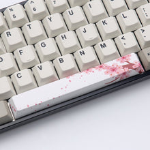 Load image into Gallery viewer, PBT Dye-subbed Spacebar 6.25U