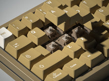 Load image into Gallery viewer, [GB]Gateron N1s Switches
